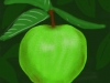 Little Green Apple - iPad drawing, 2012